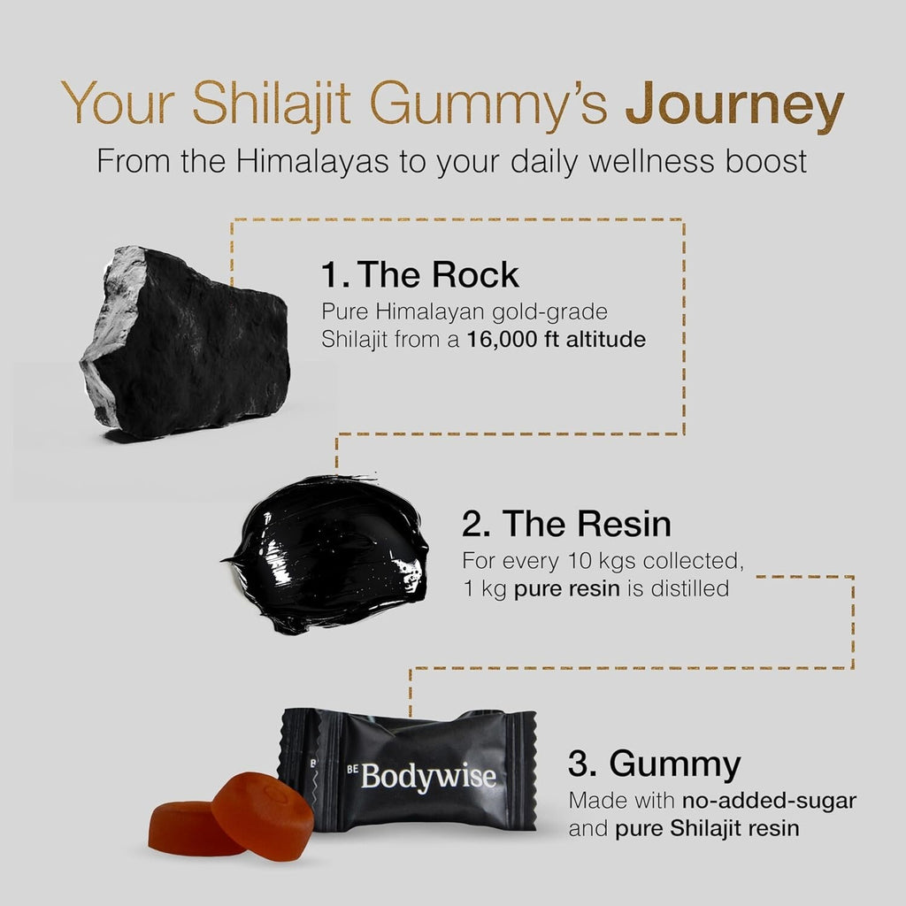 Be Bodywise Pure Himalayan Shilajit Gummies Gold I Lab Tested I No Added Sugar I
