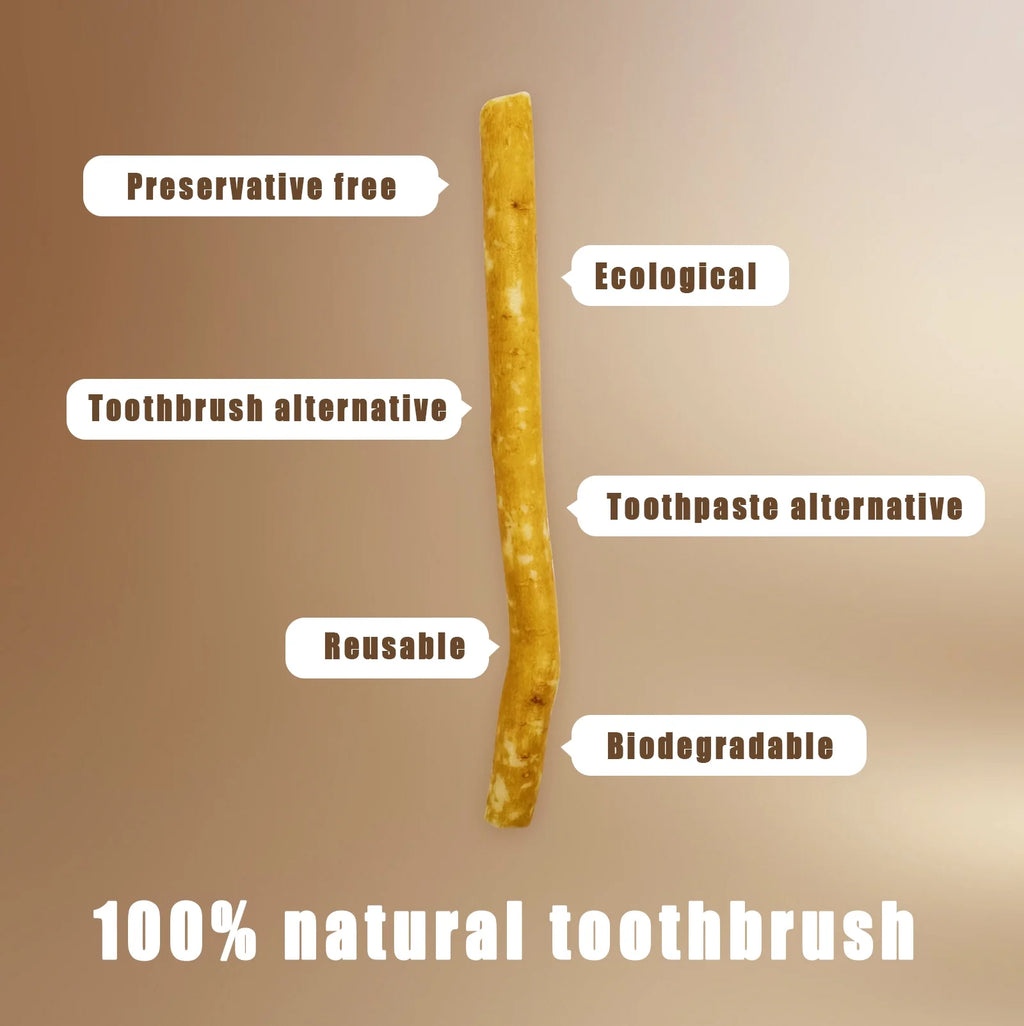 12 Pack Organic Miswak Toothbrushes | All-Natural Wooden Miswak Sticks for Teeth Whitening | Oral Care & Fresh Breath, Eco-Friendly | Clove Flavor