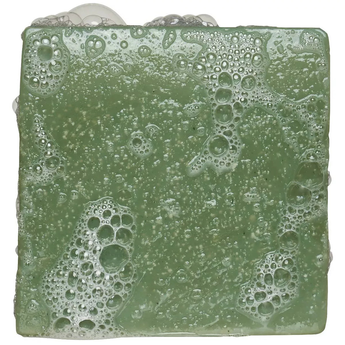 DR. SQUATCH Men'S All Natural Bar Soap - Rainforest Rapids - 5Oz