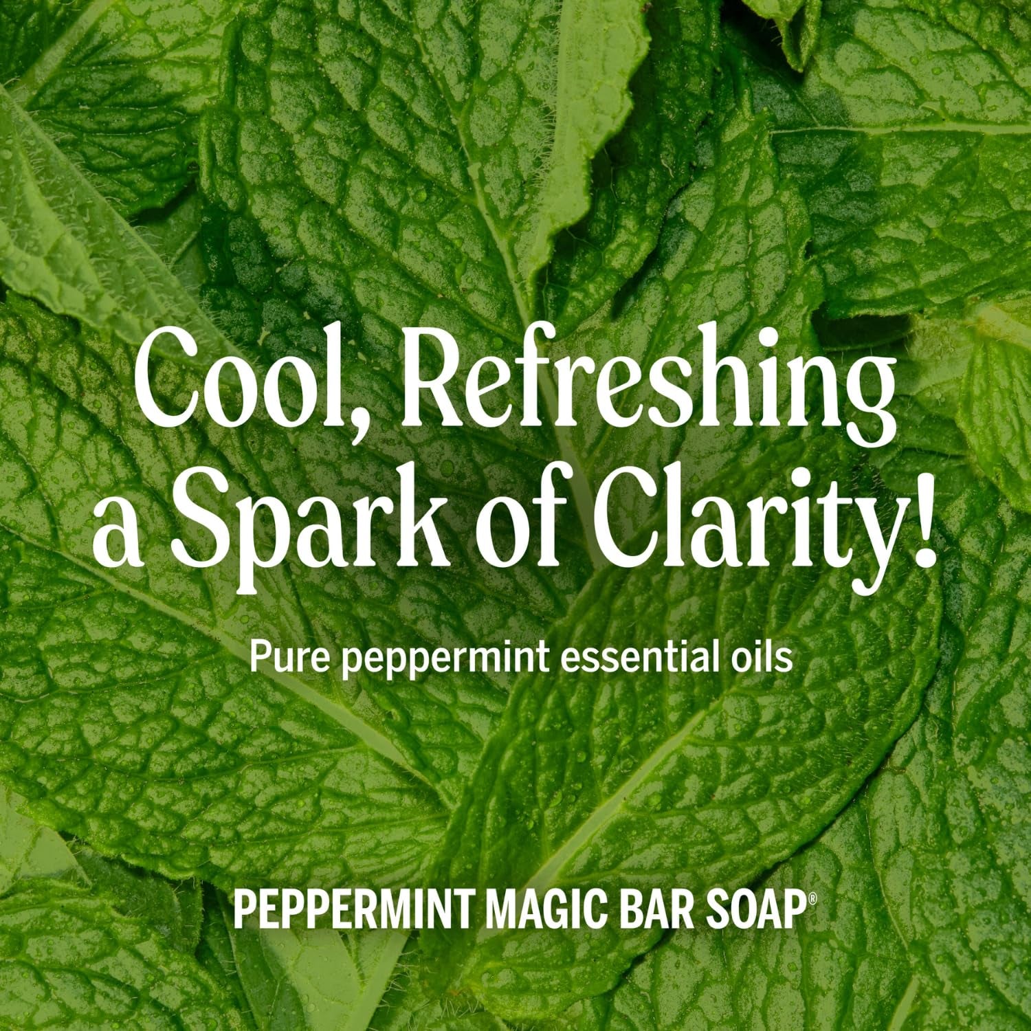 Pure-Castile Magic Liquid Soap (Peppermint, 8 Ounce)- Made with Organic Oils, 18-In1 Uses: Face, Hair, Hand & Body Soap, Laundry, Pets- Concentrated, Vegan, Non-Gmo